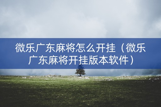 微乐广东麻将怎么开挂（微乐广东麻将开挂版本软件）