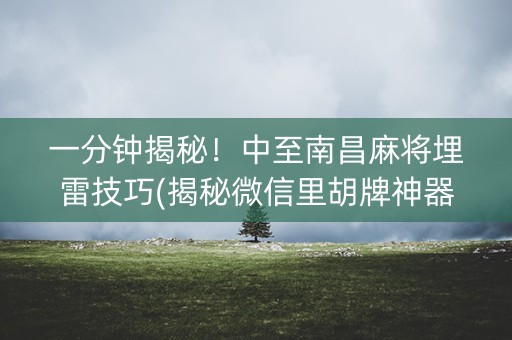 一分钟揭秘！中至南昌麻将埋雷技巧(揭秘微信里胡牌神器)