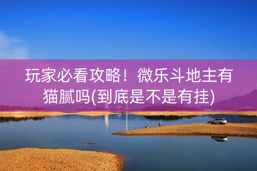 玩家必看攻略！微乐斗地主有猫腻吗(到底是不是有挂)