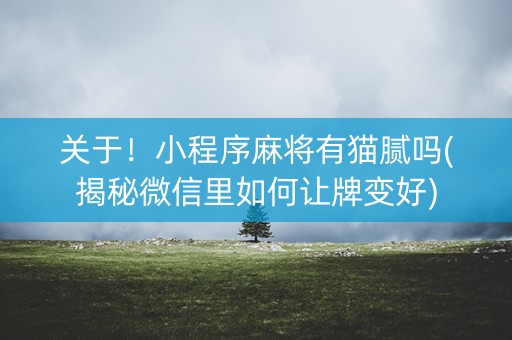 关于！小程序麻将有猫腻吗(揭秘微信里如何让牌变好)