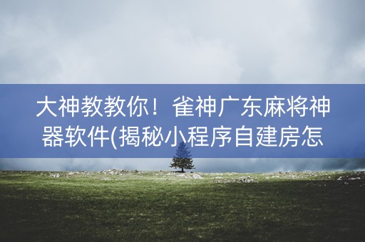 大神教教你！雀神广东麻将神器软件(揭秘小程序自建房怎么赢)
