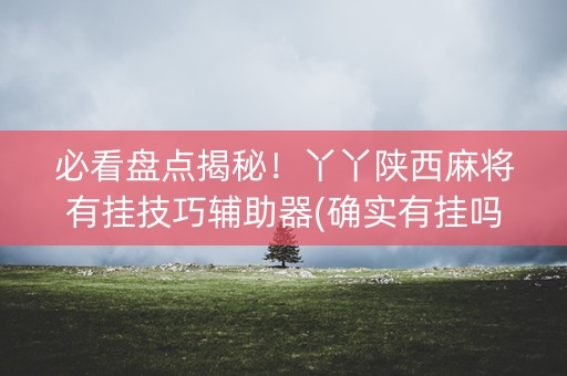必看盘点揭秘！丫丫陕西麻将有挂技巧辅助器(确实有挂吗)