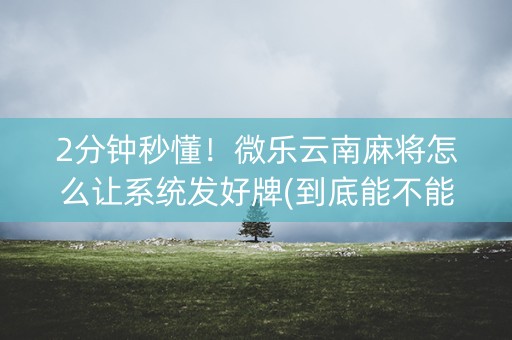 2分钟秒懂！微乐云南麻将怎么让系统发好牌(到底能不能开挂)