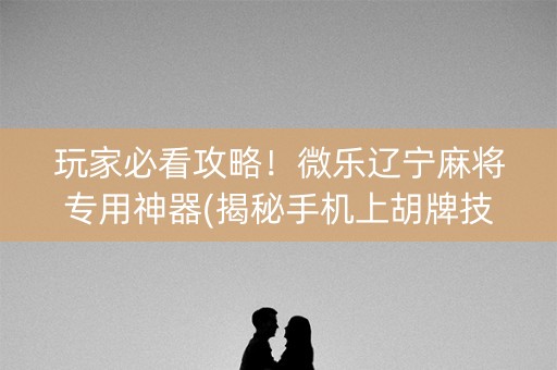 玩家必看攻略！微乐辽宁麻将专用神器(揭秘手机上胡牌技巧)