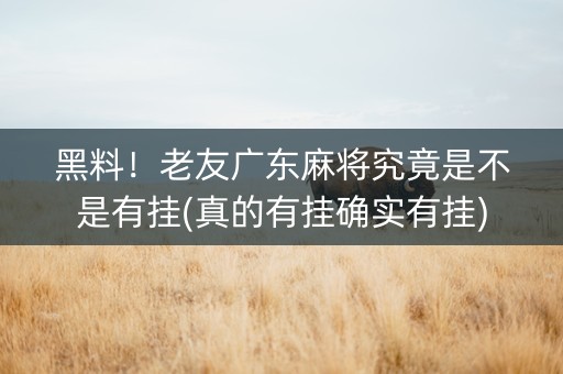 黑料！老友广东麻将究竟是不是有挂(真的有挂确实有挂)