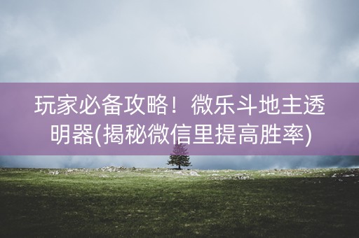 玩家必备攻略！微乐斗地主透明器(揭秘微信里提高胜率)