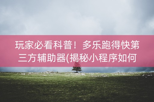 玩家必看科普！多乐跑得快第三方辅助器(揭秘小程序如何让牌变好)