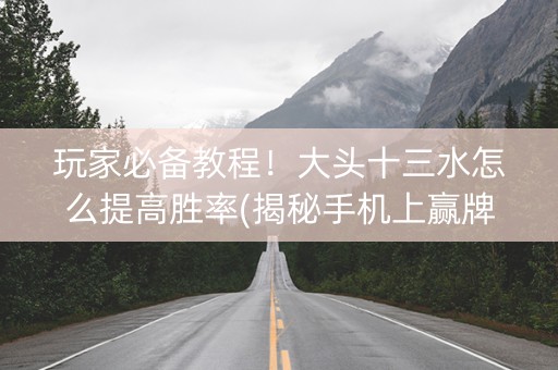 玩家必备教程！大头十三水怎么提高胜率(揭秘手机上赢牌的技巧)