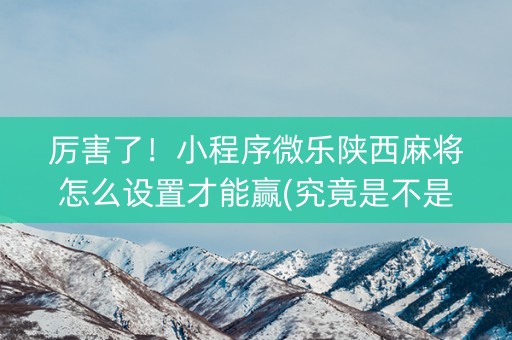 厉害了！小程序微乐陕西麻将怎么设置才能赢(究竟是不是有挂)