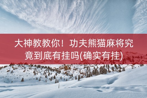 大神教教你！功夫熊猫麻将究竟到底有挂吗(确实有挂)