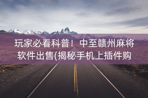 玩家必看科普！中至赣州麻将软件出售(揭秘手机上插件购买)