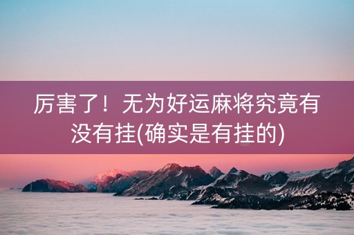 厉害了！无为好运麻将究竟有没有挂(确实是有挂的)