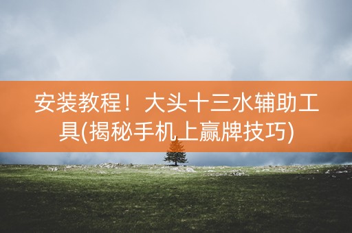 安装教程！大头十三水辅助工具(揭秘手机上赢牌技巧)