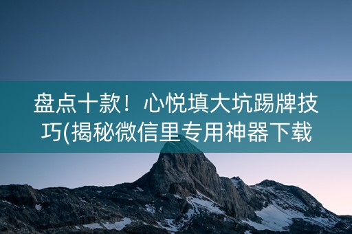 盘点十款！心悦填大坑踢牌技巧(揭秘微信里专用神器下载)