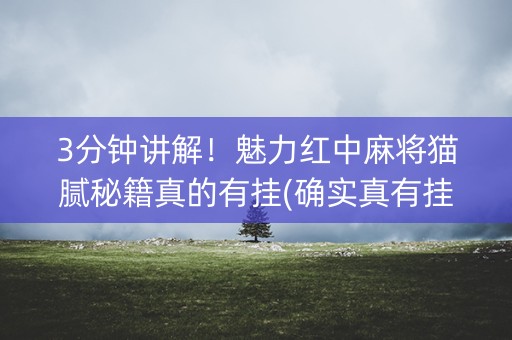3分钟讲解！魅力红中麻将猫腻秘籍真的有挂(确实真有挂)