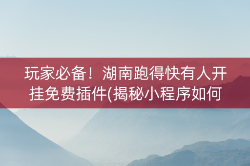 玩家必备！湖南跑得快有人开挂免费插件(揭秘小程序如何让牌变好)