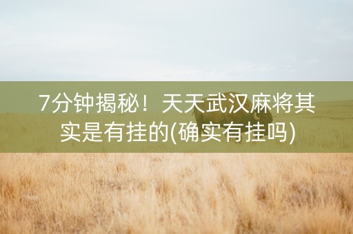 7分钟揭秘！天天武汉麻将其实是有挂的(确实有挂吗)