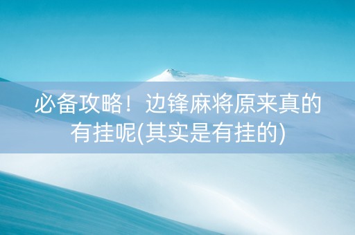 必备攻略！边锋麻将原来真的有挂呢(其实是有挂的)