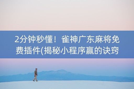 2分钟秒懂！雀神广东麻将免费插件(揭秘小程序赢的诀窍)