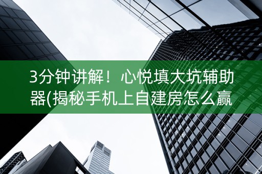 3分钟讲解！心悦填大坑辅助器(揭秘手机上自建房怎么赢)