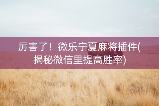 厉害了！微乐宁夏麻将插件(揭秘微信里提高胜率)