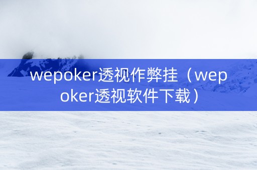 wepoker透视作弊挂（wepoker透视软件下载）