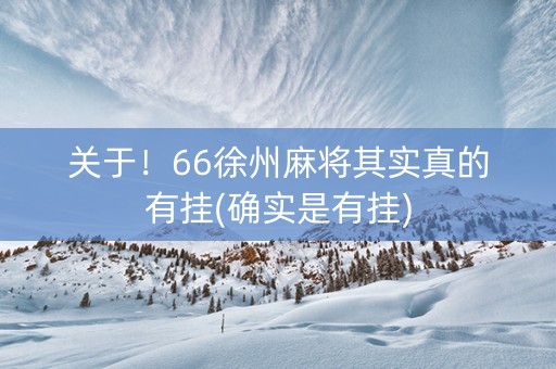 关于！66徐州麻将其实真的有挂(确实是有挂)
