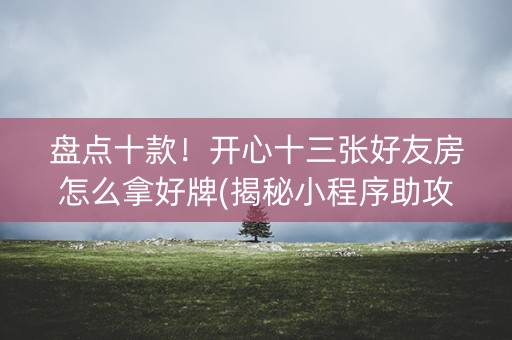 盘点十款！开心十三张好友房怎么拿好牌(揭秘小程序助攻神器)