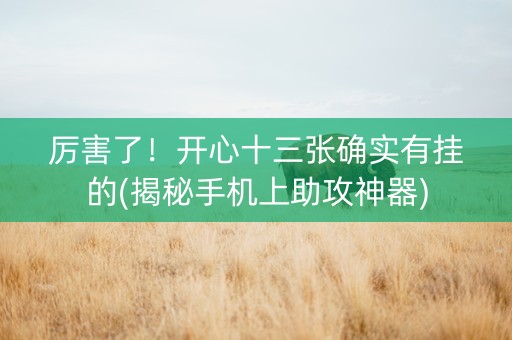 厉害了！开心十三张确实有挂的(揭秘手机上助攻神器)