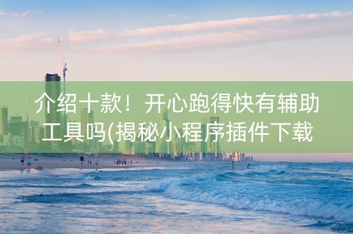 介绍十款！开心跑得快有辅助工具吗(揭秘小程序插件下载)