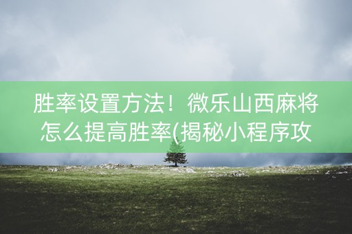 胜率设置方法！微乐山西麻将怎么提高胜率(揭秘小程序攻略插件)