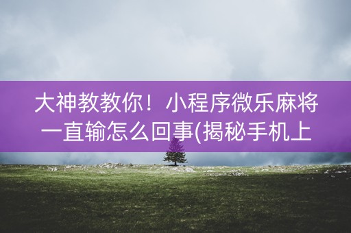 大神教教你！小程序微乐麻将一直输怎么回事(揭秘手机上确实有猫腻)