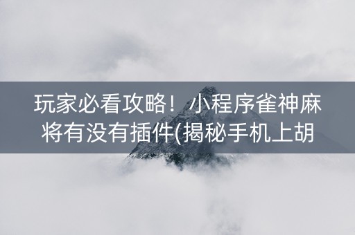 玩家必看攻略！小程序雀神麻将有没有插件(揭秘手机上胡牌神器)