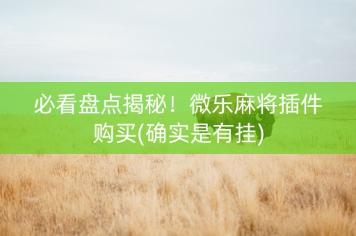 必看盘点揭秘！微乐麻将插件购买(确实是有挂)