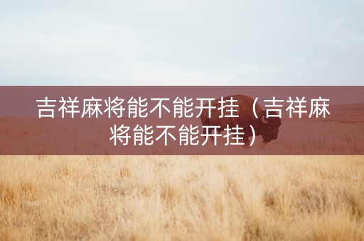 吉祥麻将能不能开挂（吉祥麻将能不能开挂）