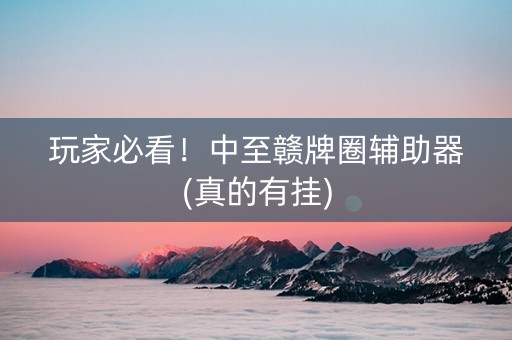 玩家必看！中至赣牌圈辅助器(真的有挂)