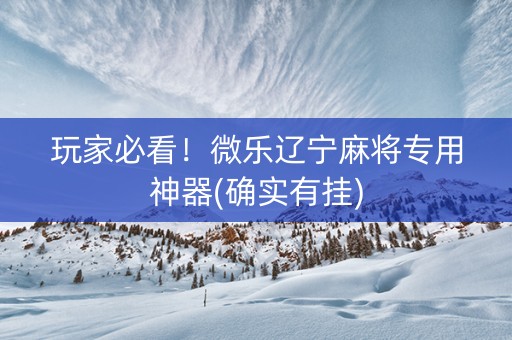 玩家必看！微乐辽宁麻将专用神器(确实有挂)