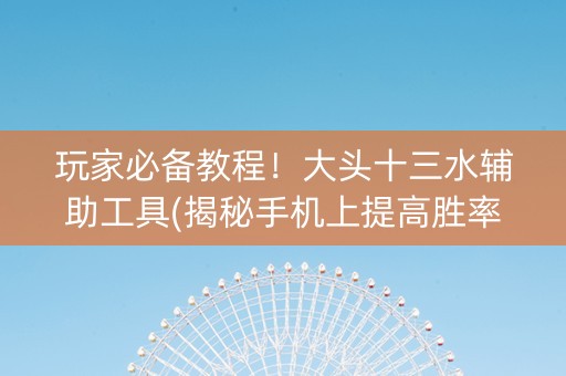 玩家必备教程！大头十三水辅助工具(揭秘手机上提高胜率)