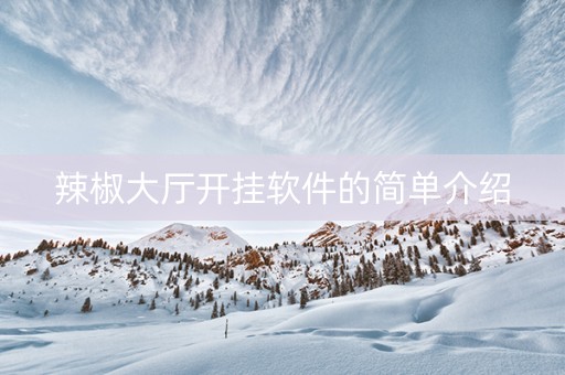 辣椒大厅开挂软件的简单介绍