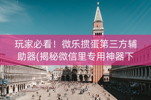 玩家必看！微乐掼蛋第三方辅助器(揭秘微信里专用神器下载)