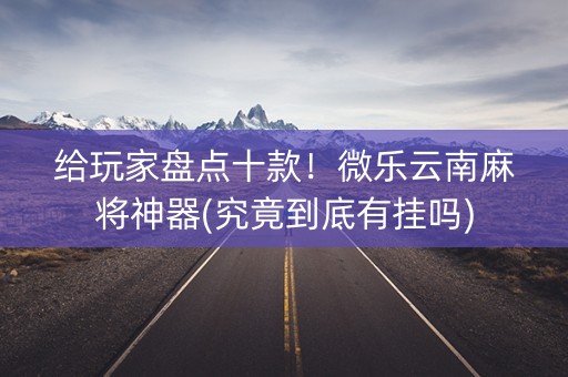 给玩家盘点十款！微乐云南麻将神器(究竟到底有挂吗)