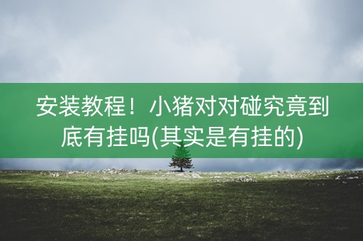 安装教程！小猪对对碰究竟到底有挂吗(其实是有挂的)