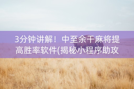 3分钟讲解！中至余干麻将提高胜率软件(揭秘小程序助攻神器)