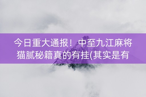 今日重大通报！中至九江麻将猫腻秘籍真的有挂(其实是有挂的)