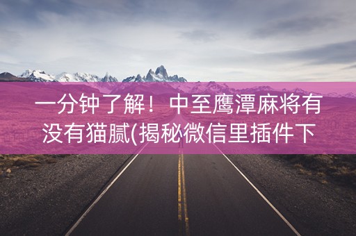 一分钟了解！中至鹰潭麻将有没有猫腻(揭秘微信里插件下载)