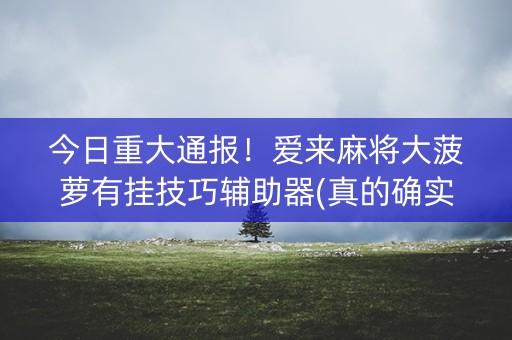今日重大通报！爱来麻将大菠萝有挂技巧辅助器(真的确实是有挂)