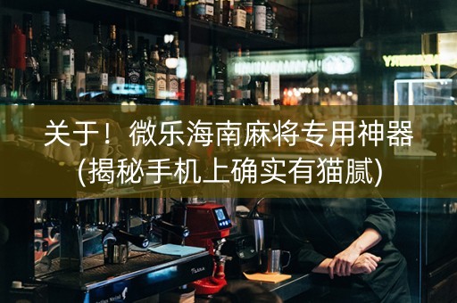 关于！微乐海南麻将专用神器(揭秘手机上确实有猫腻)