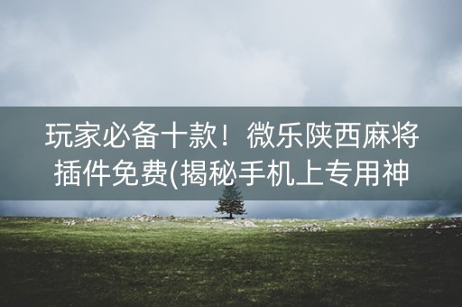 玩家必备十款！微乐陕西麻将插件免费(揭秘手机上专用神器)