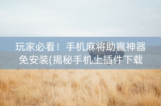 玩家必看！手机麻将助赢神器免安装(揭秘手机上插件下载)