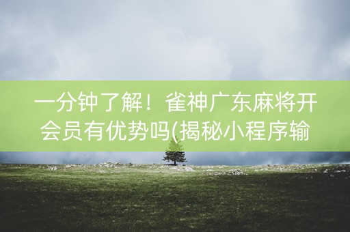 一分钟了解！雀神广东麻将开会员有优势吗(揭秘小程序输赢规律)